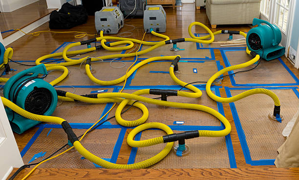 Professional Crawl Space Water Removal technician working in Lolita, TX